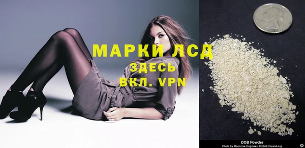 кокс Алексин
