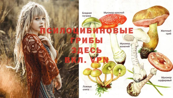 молекула духа Нея