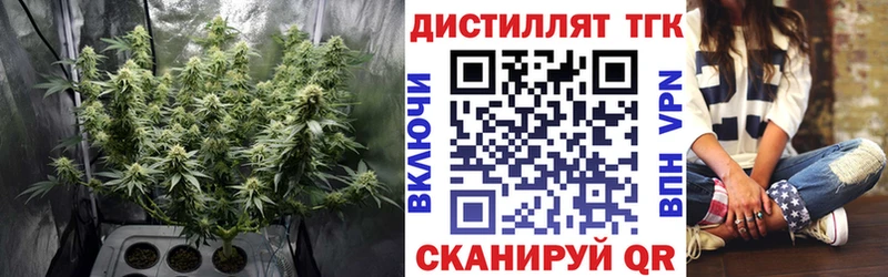 ТГК гашишное масло  Анива 