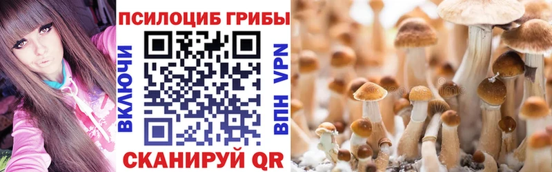 Галлюциногенные грибы Cubensis  Анива 